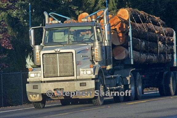 log truck 2 graphic